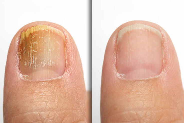 istockphoto-1407068902-612x612.jpg