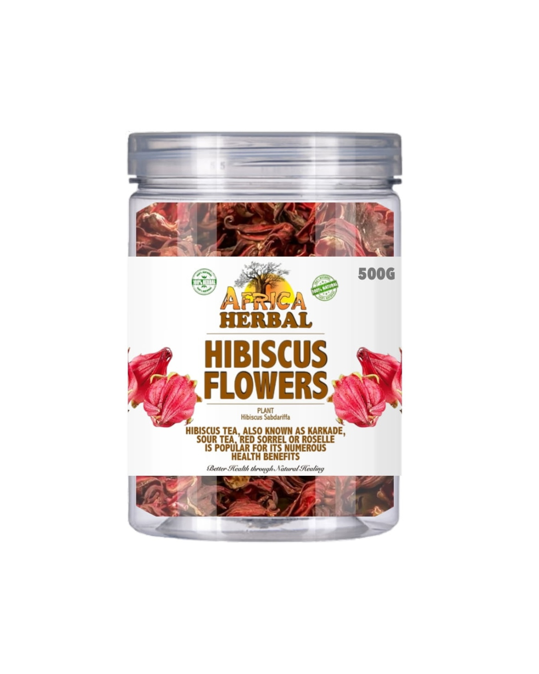 HIBISCUS FLOWERS