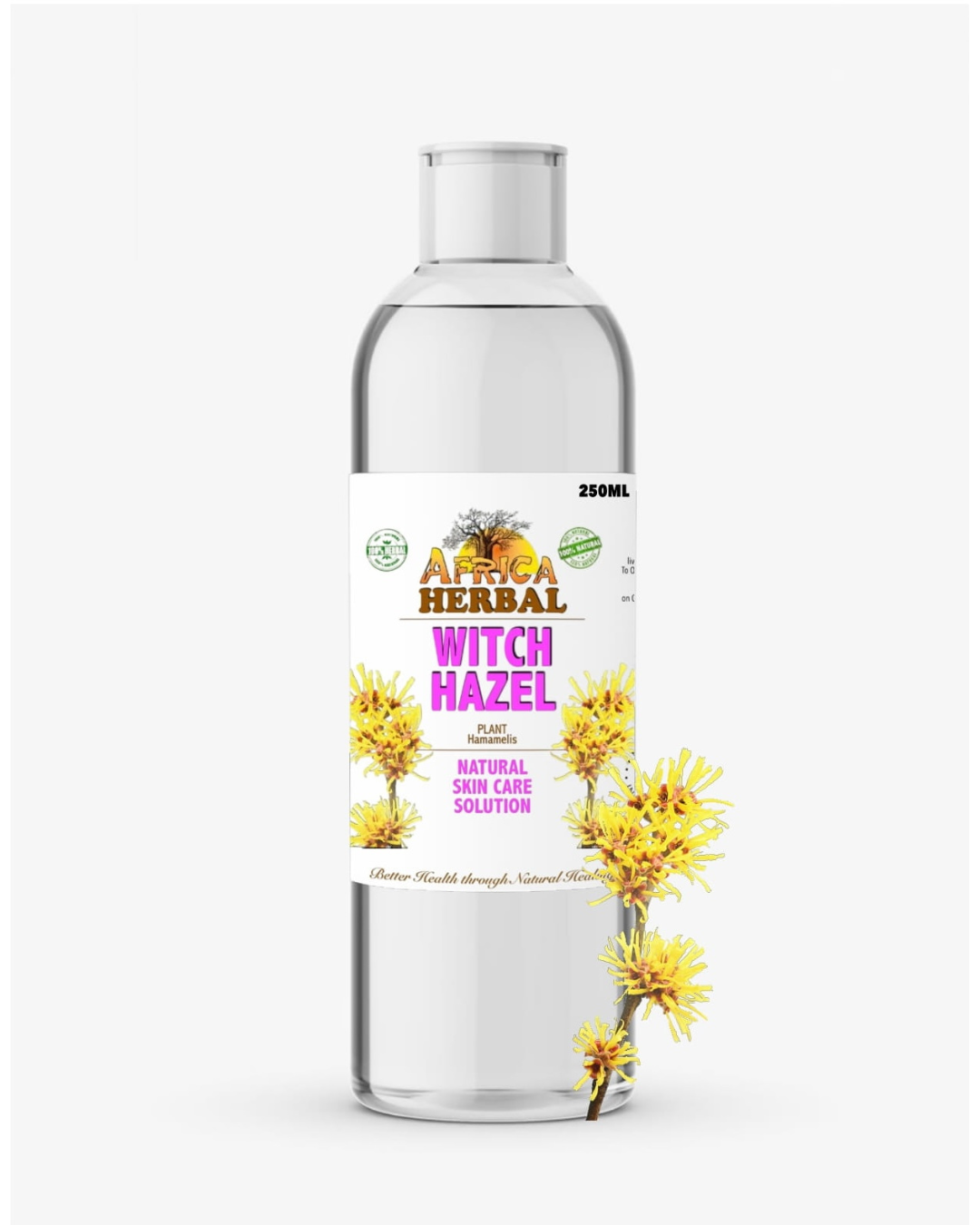WITCH HAZEL HYDROSOL