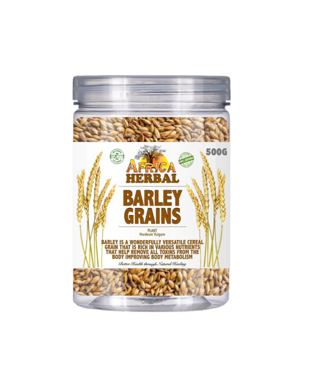 BARLEY GRAIN