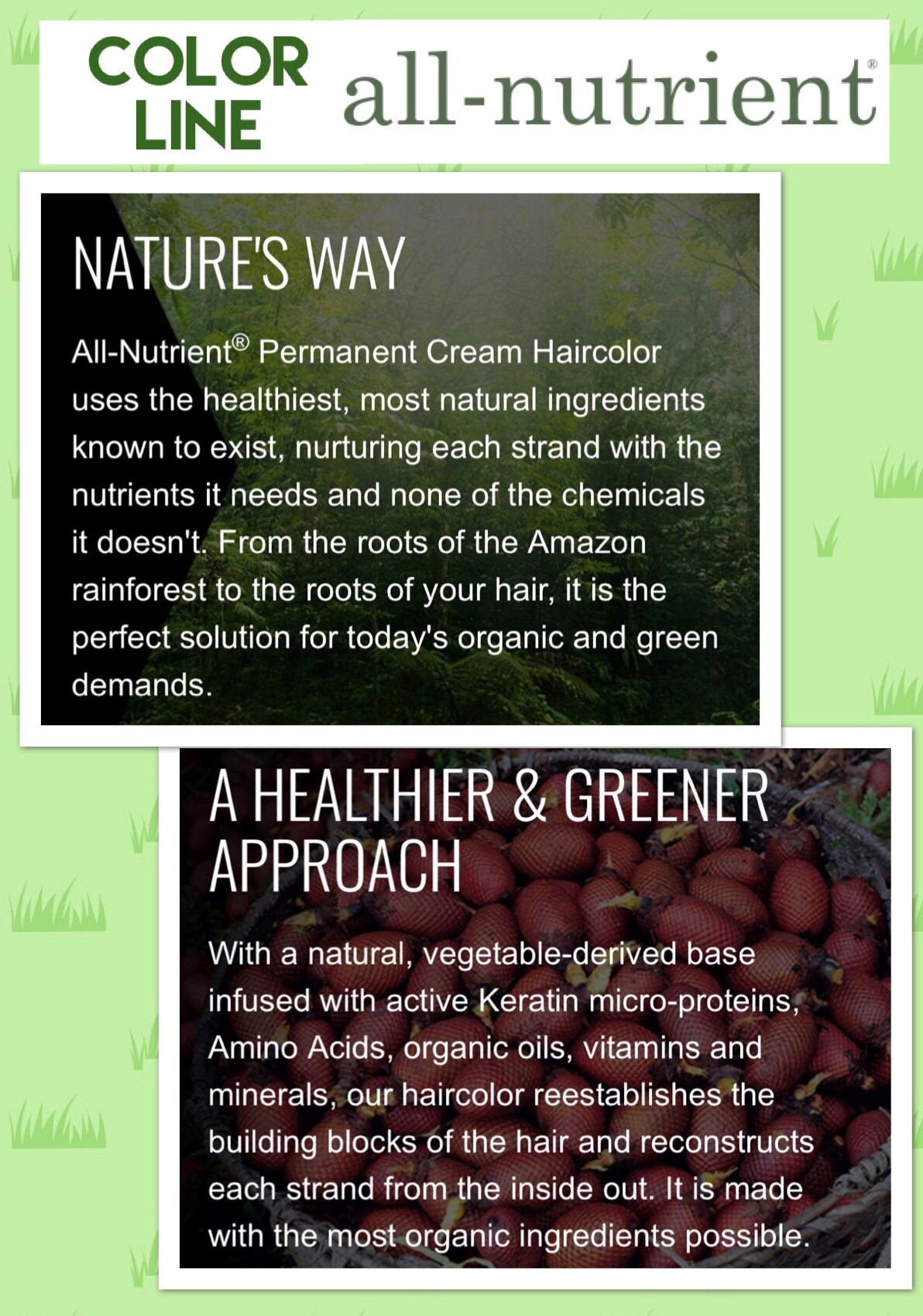 Hair & Skincare Products at Bare Roots Salon Ft Myers