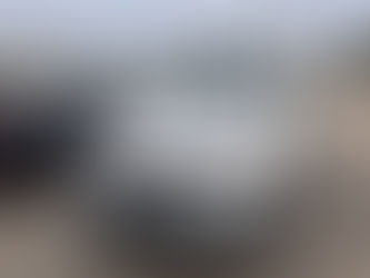 Premium Auto Detailing for Busy Professionals and Families