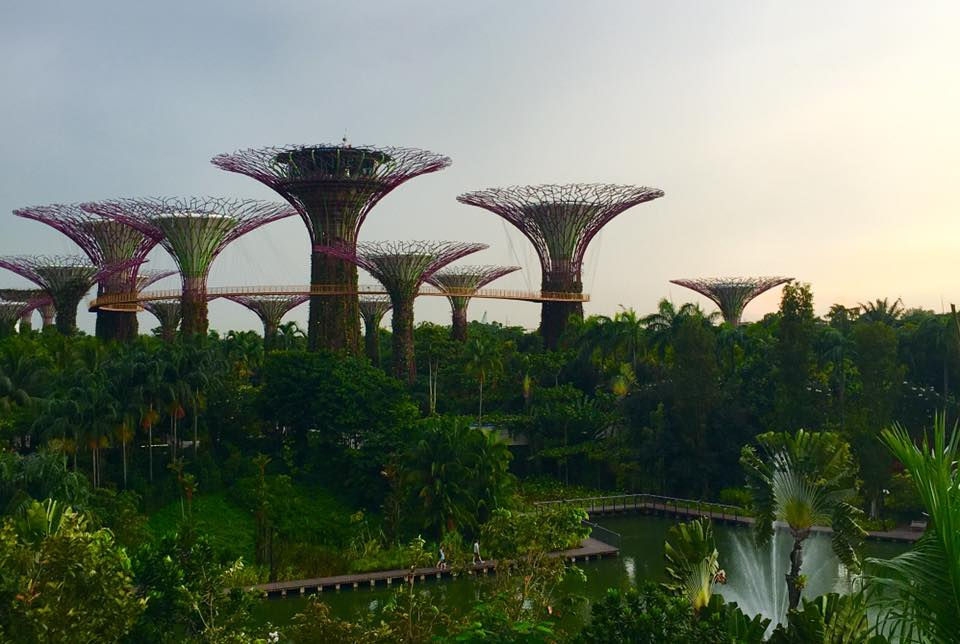Marina Bay Sands
