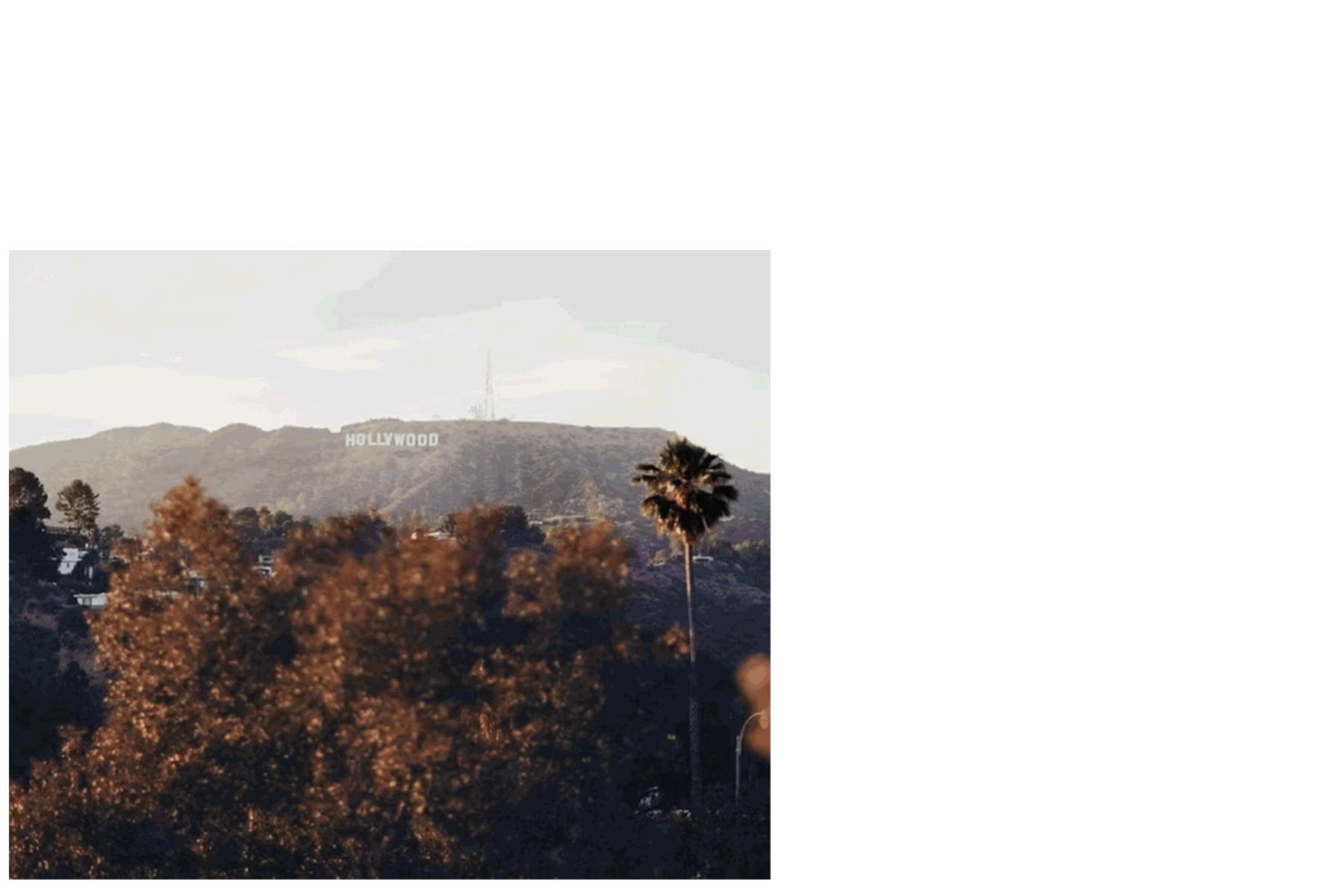 MCE_GIF-1Sec.gif