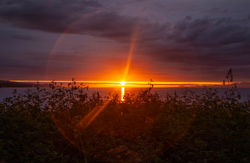 Last Sunset closeup