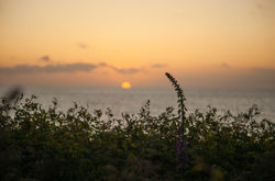 First Sunset