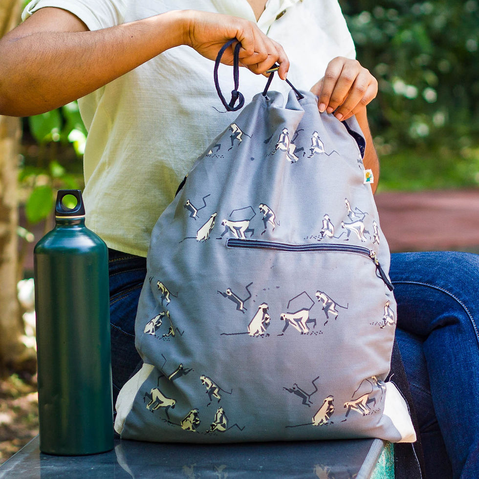 Thumbnail: Backpack - Langur