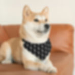 Thumbnail: Dina's Pizza & Pub's Pet Collar Bandana
