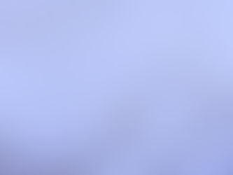 Operácia „Falošný revízor“: Ako audit stopol tunelovanie cez fiktívne služby