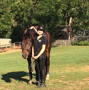 Screen Shot 2017-09-24 at 2.43.41 PM.png