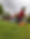 DSC_1951.JPG