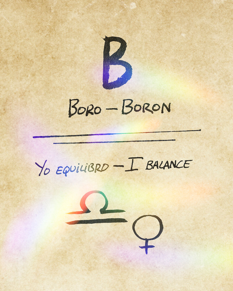 Boro - Día 7 - Libra