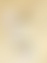 Berilio - Día 11 - Acuario