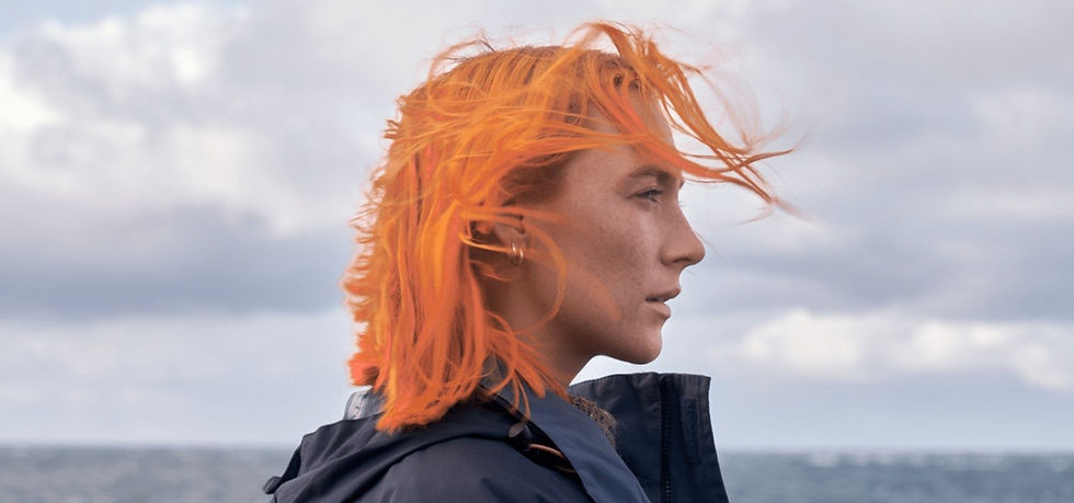 Crédito Divulgação