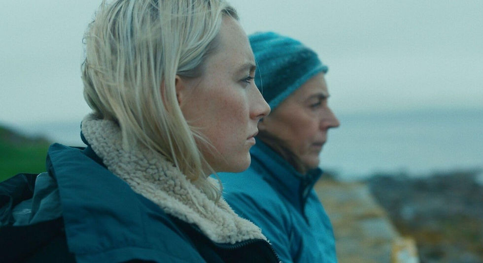 Crédito Divulgação