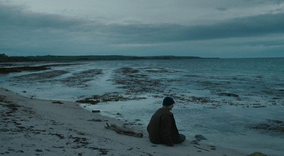 Crédito Divulgação