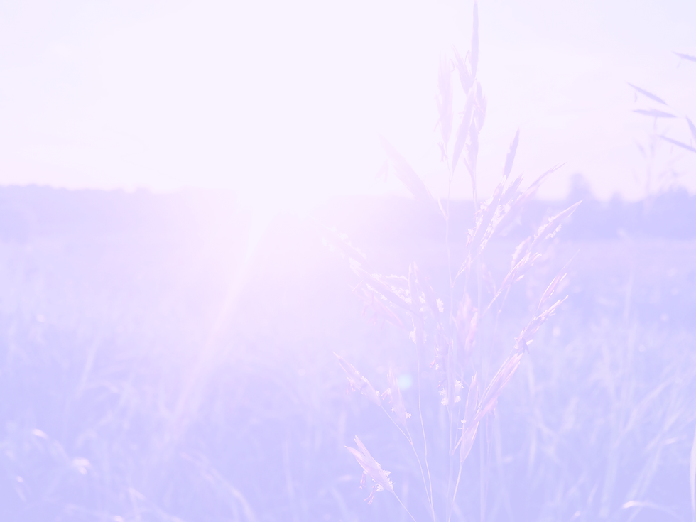 Sunrise_edited_edited_edited.png
