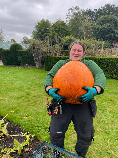 Head Gardener with a huge pumpkin grown in the Kitchen Gardens