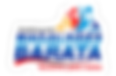 logo-pm-magalhaes-barata-2022 (1).png