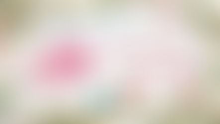 【香港歷史及文化教育協會 : 祝各位聖誕快樂，新年進步】