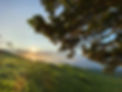 Kahikinui Pi'i Kuahiwi.jpeg