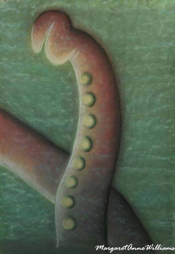 Ocean Arms