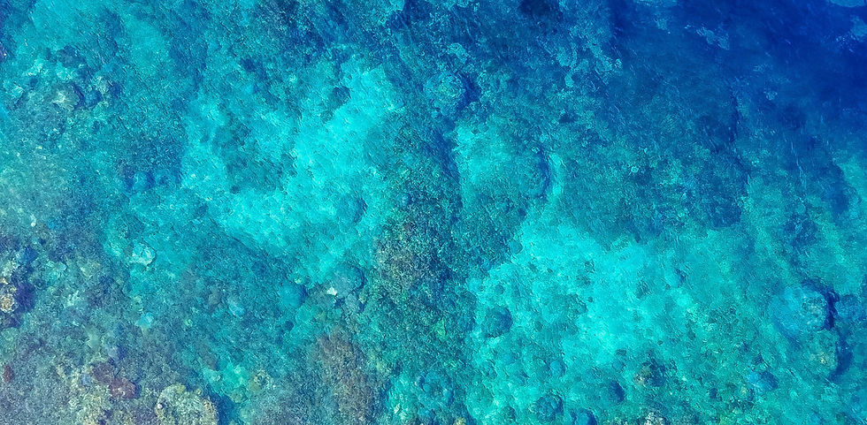 03-header.jpg