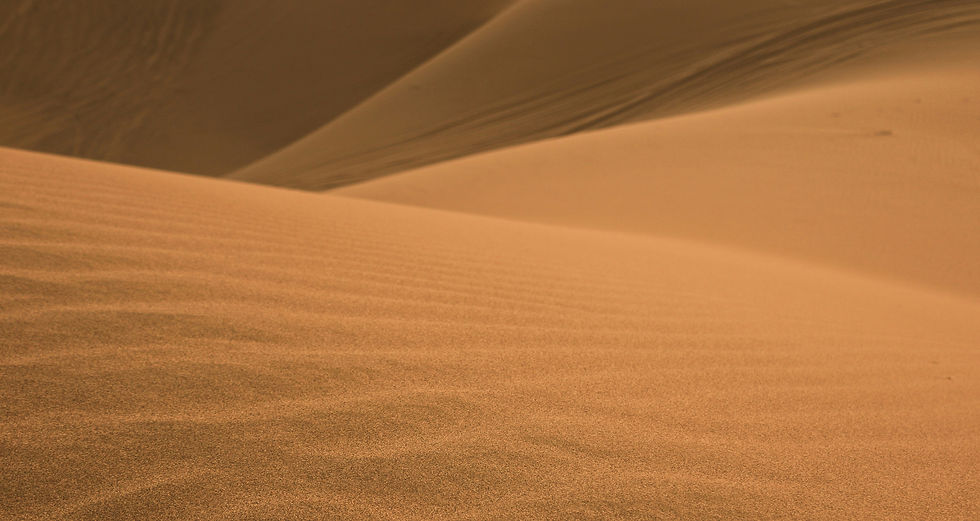04-header.jpg