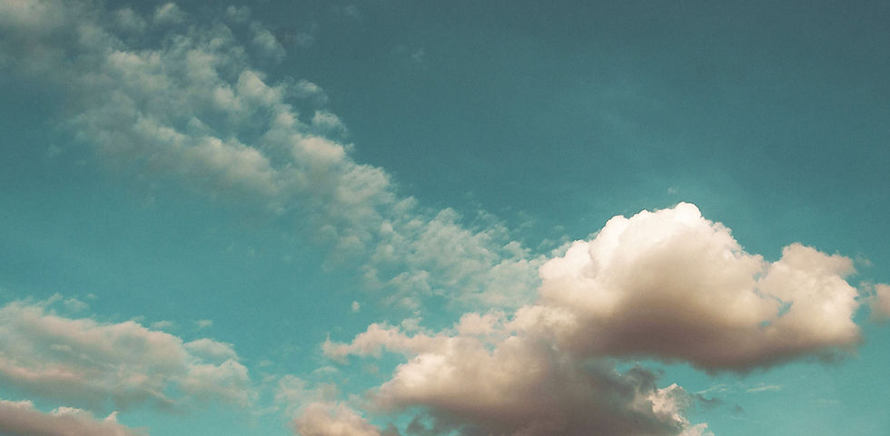 03-header.jpg