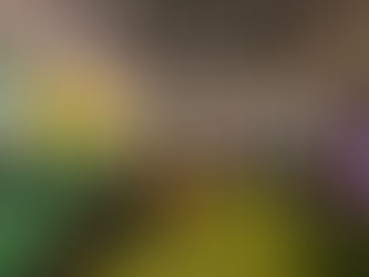 Caravana do Futebol Feminino Petrobras chega ao Parque Madureira com atividades gratuitas e presença de craques históricas