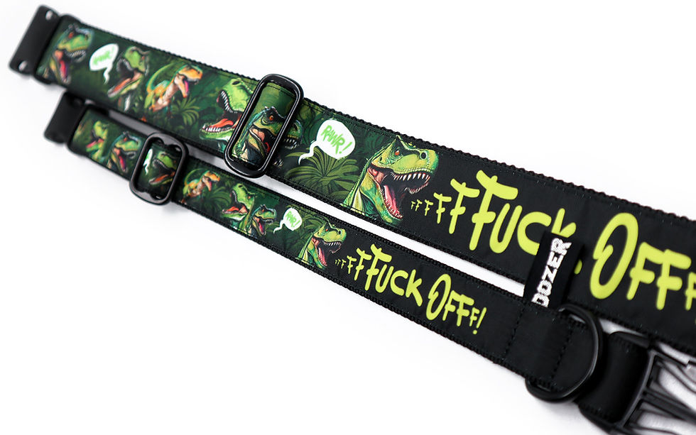 Miniaturbild: T-Rex Fuck Off