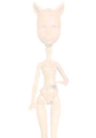 Repaint Doll Blank
