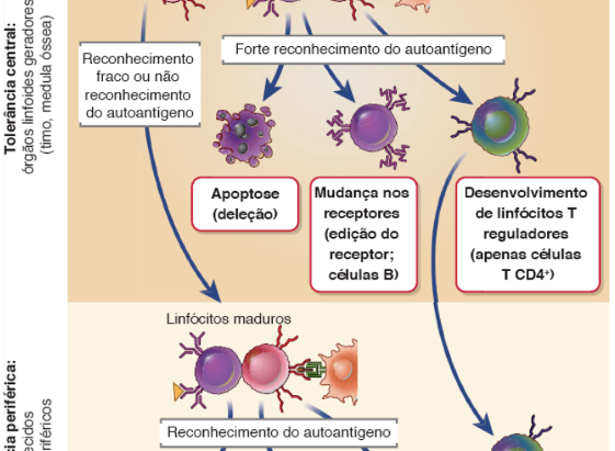 NCS - Tutoria - SP 2.2 - 23/10/23