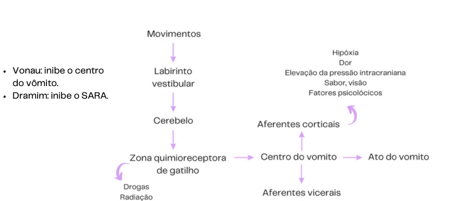 NCS - MORFO - SP 3.1 - 31/10/24