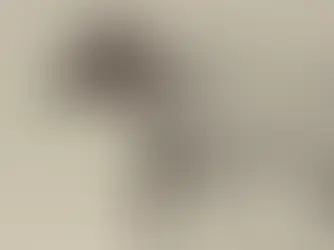 La estirpe Barbabosa en la construcción del toro mexicano