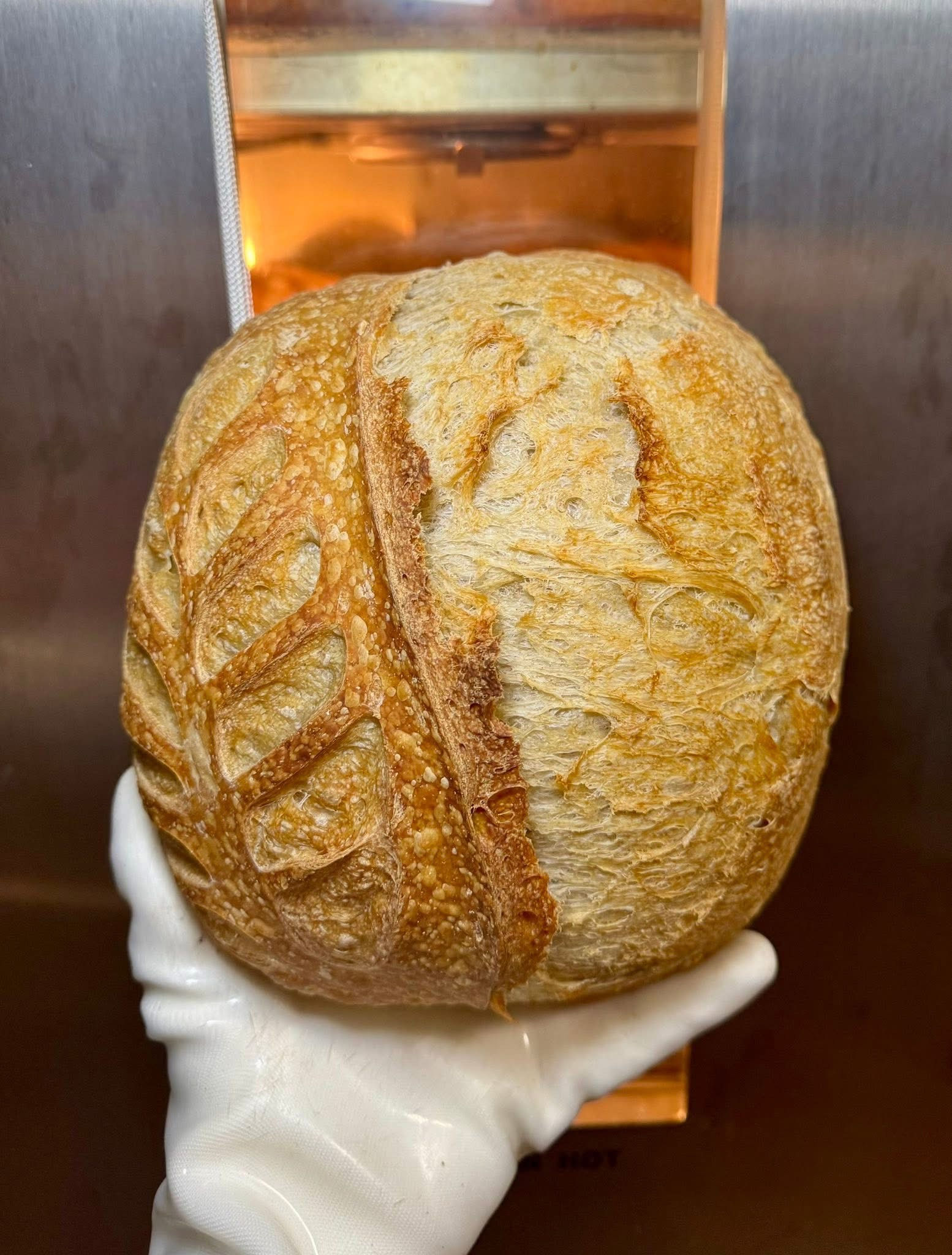 Sourdough Bread - Kneadful Treats