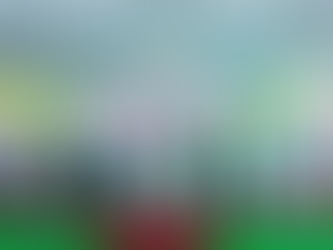 BASF renovates 8th school in Vietnam