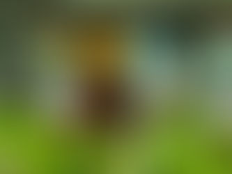 Ibrahim Said leaving multiple Celtic players in his wake