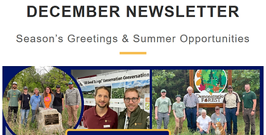 Screenshot 2025-12-15 125747.png