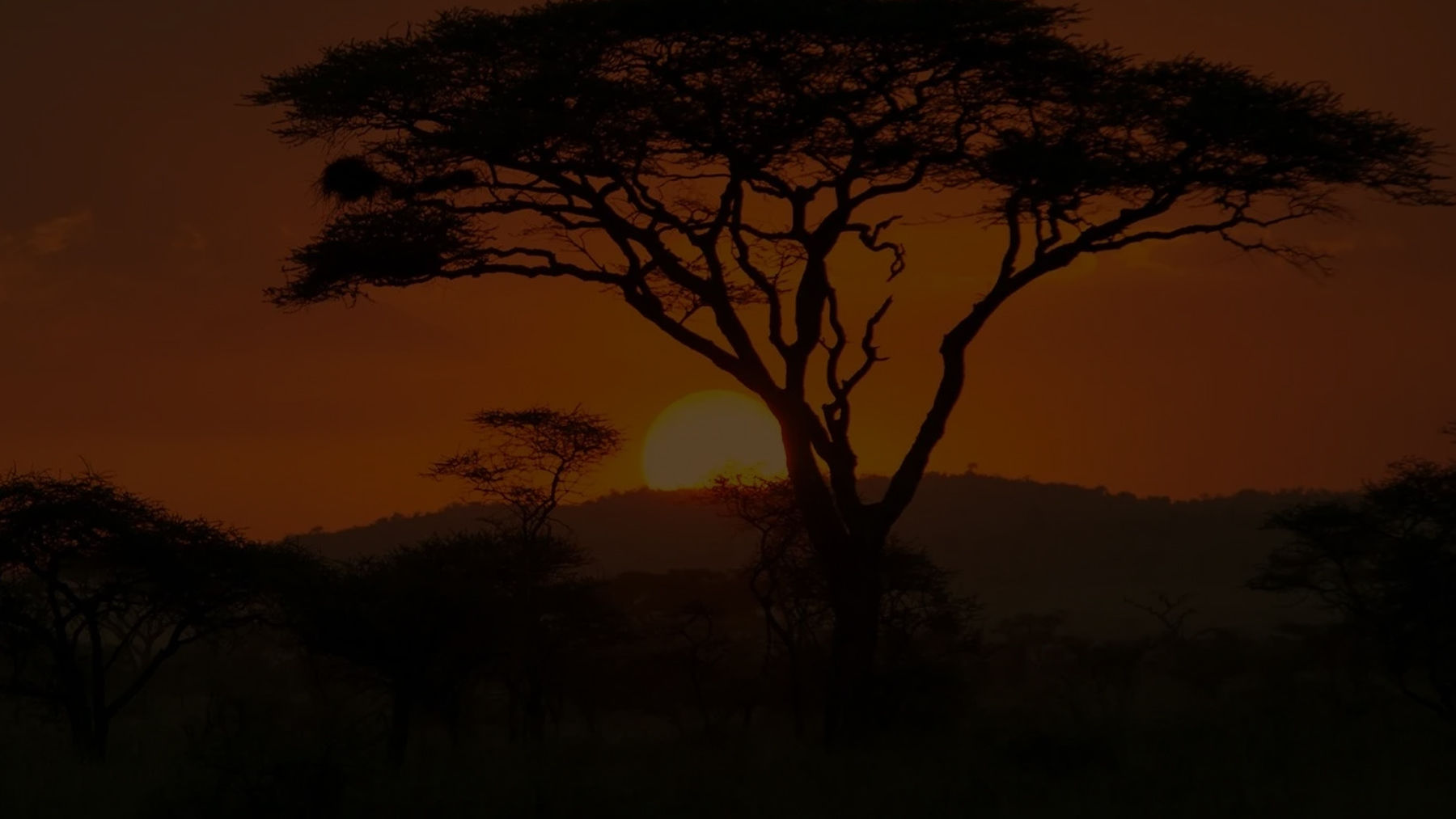 RMFC_Msingi_LandingPage_hero_250.jpg