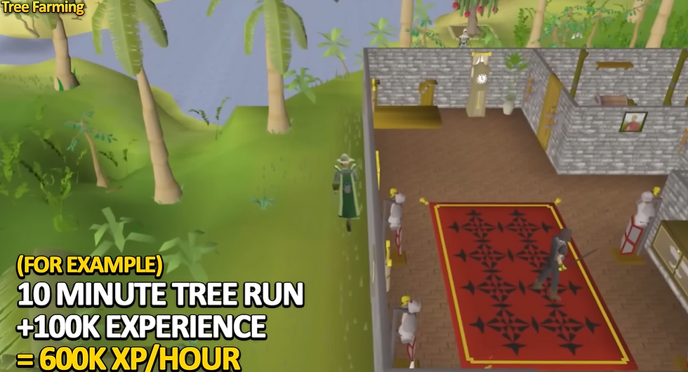 Complete Tree Farming Guide for OSRS - Tree Run Guide