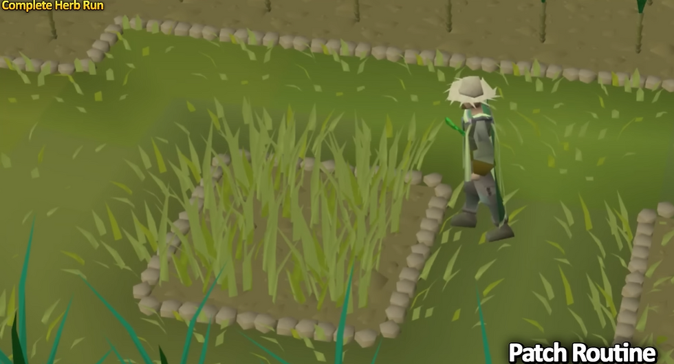 Complete Herb Farming Guide for OSRS Herb Run Guide