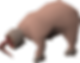 ree
