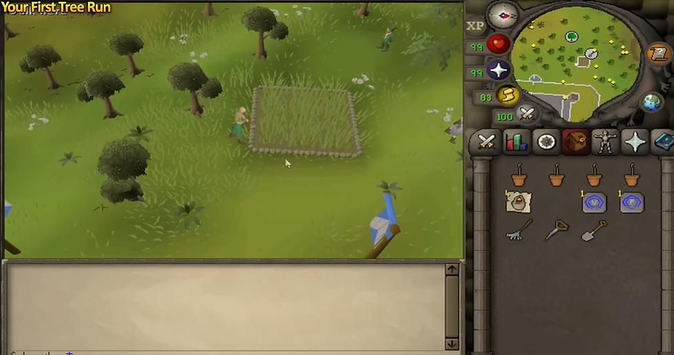 Complete Tree Farming Guide for OSRS Tree Run Guide