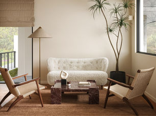 Mid-century living room set
