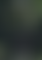 Meditación Ho'oponopono