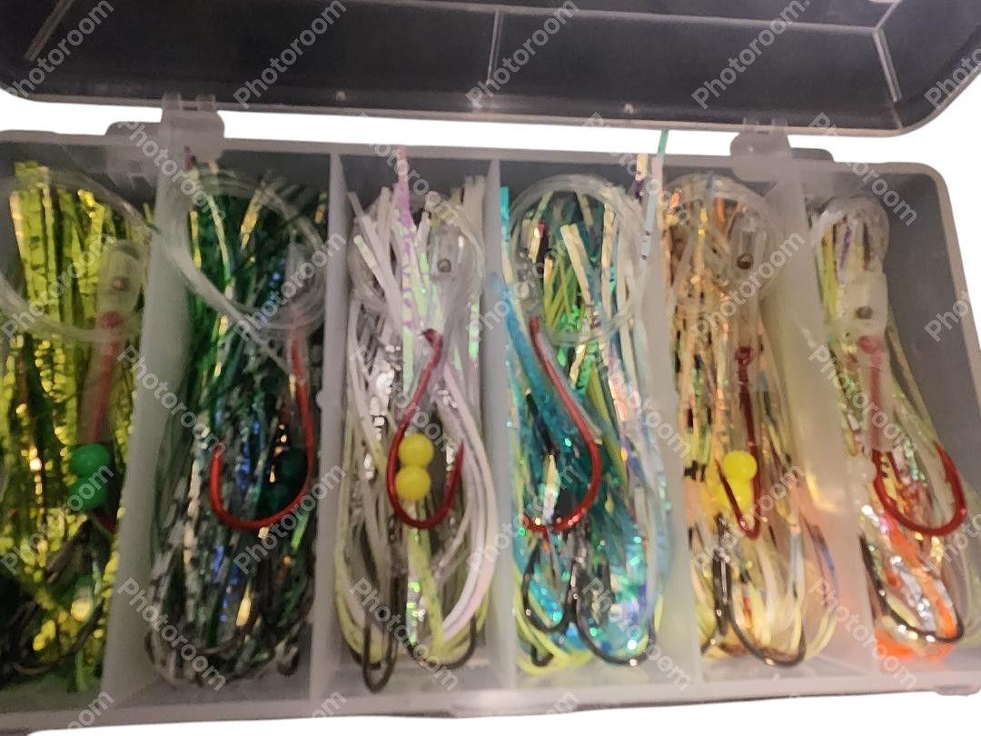 6 Pk Tournament Series  (Live) W/case box