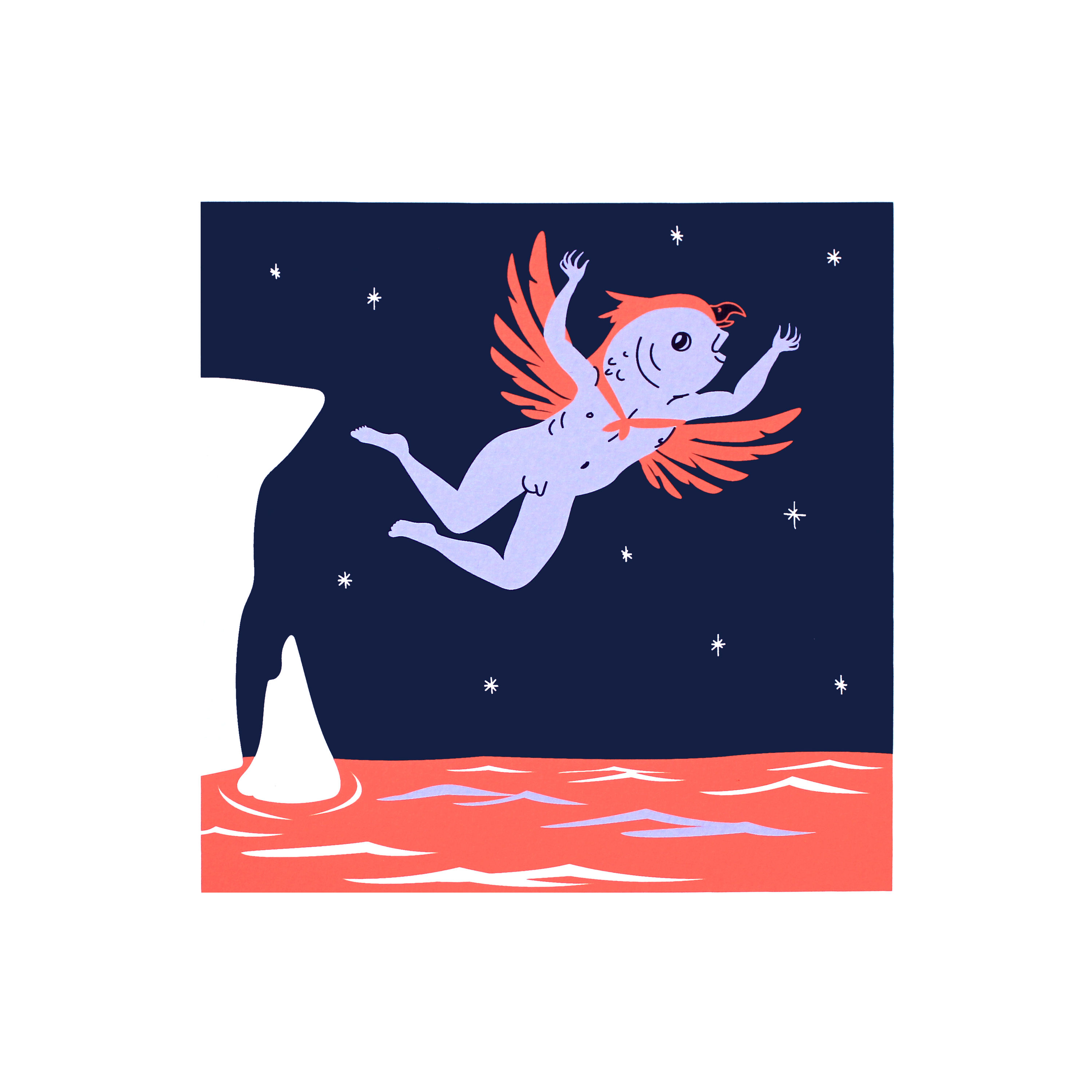 "Feather and scale". Serigrafía de la serie Feral Costumes.