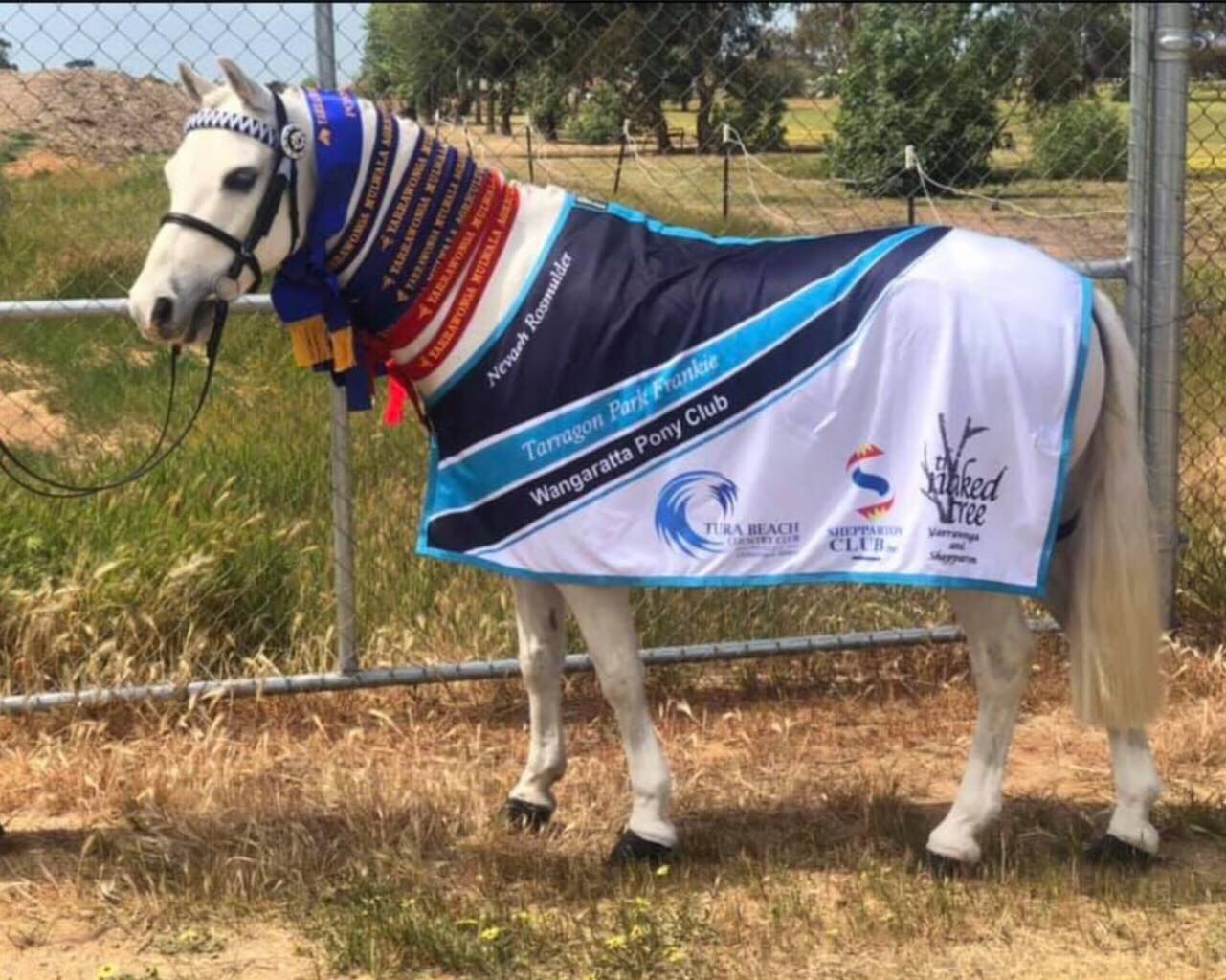 PONY CLUB RUGS
