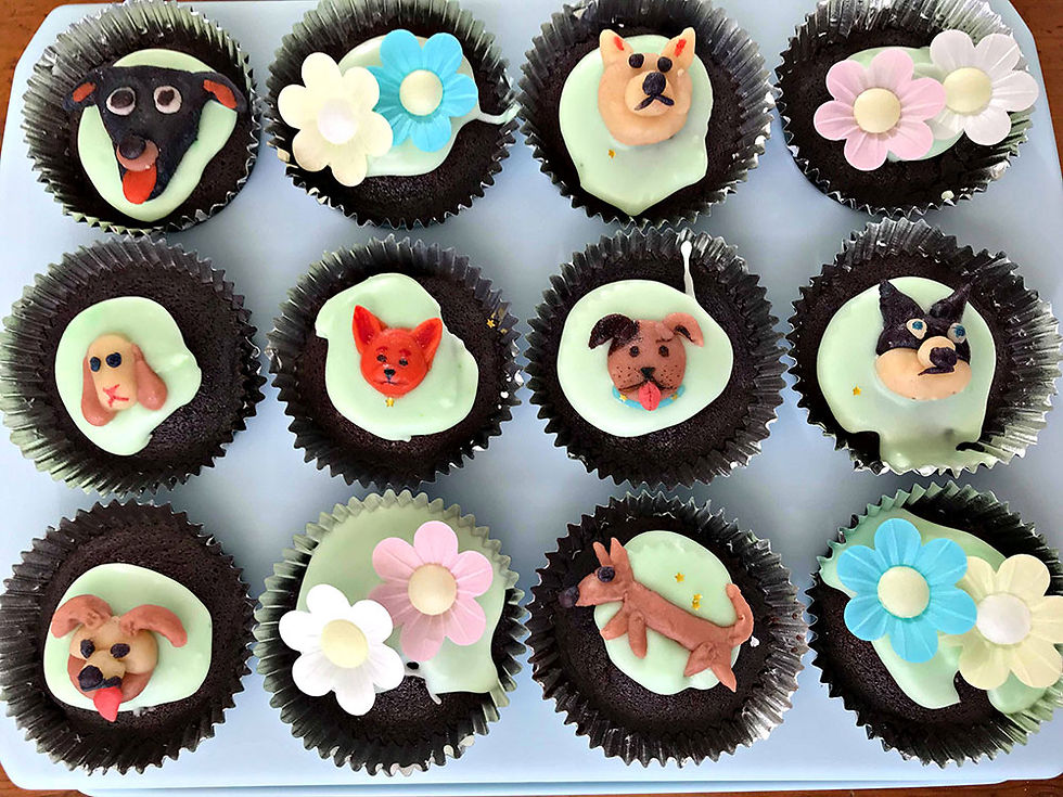 We raised over three thousand seven hundred dollars